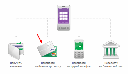 Инструкция по переводу денег с Мегафона на карточку